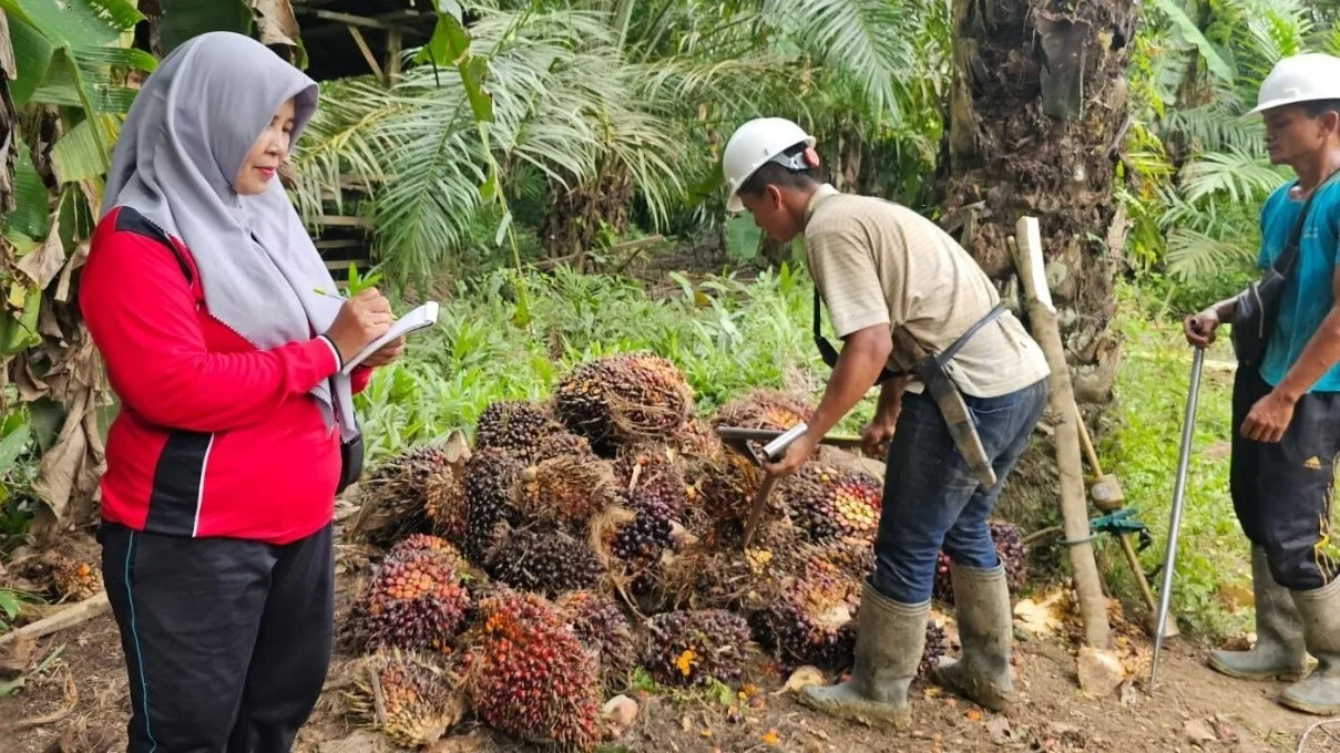 Era Digital Sawit: Teknologi Jadi Kunci Petani Indonesia Tembus Pasar Global