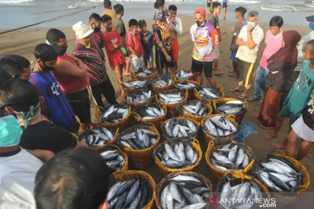 Apa Jadinya Jika Tidak Ada Ikan di Lautan? Ini 7 Dampaknya apa-jadinya-jika-tidak-ada-ikan-di-lautan