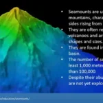 Eksplorasi BRIN dan OceanX: Gunung Laut Indonesia Ungkap Kekayaan Geologi dan Biodiversitas