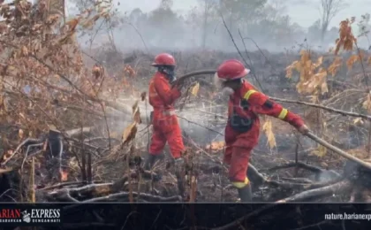 Karhutla Meluas, 12.176 Titik Panas Membakar Indonesia